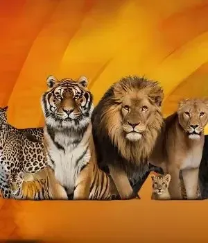 Lion Park Skip-the-Line Entrance Tickets - Image 1