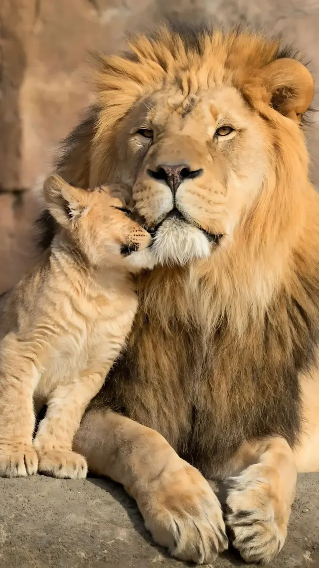 Lion Park Skip-the-Line Entrance Tickets - Vertical