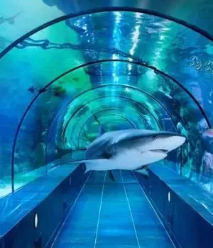 ViaSea Aquarium (Crocodile Park) Skip-the-Line Tickets - Image 1