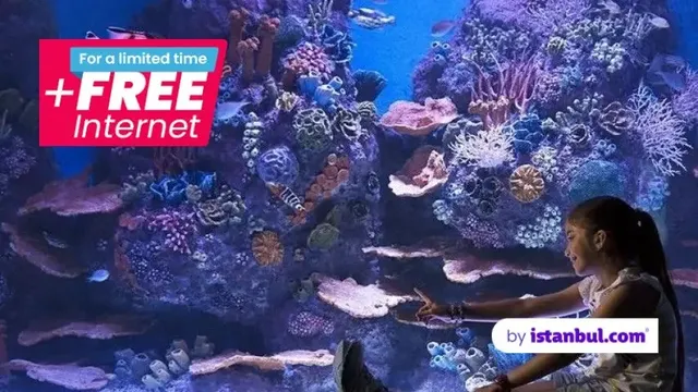 ViaSea Aquarium (Crocodile Park) Skip-the-Line Tickets - Image 2