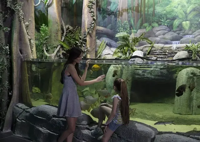 ViaSea Aquarium (Crocodile Park) Skip-the-Line Tickets - Image 2
