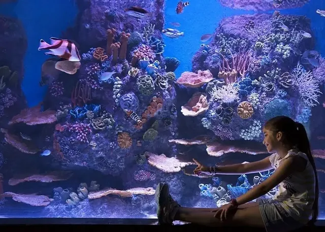 ViaSea Aquarium (Crocodile Park) Skip-the-Line Tickets - Image 1