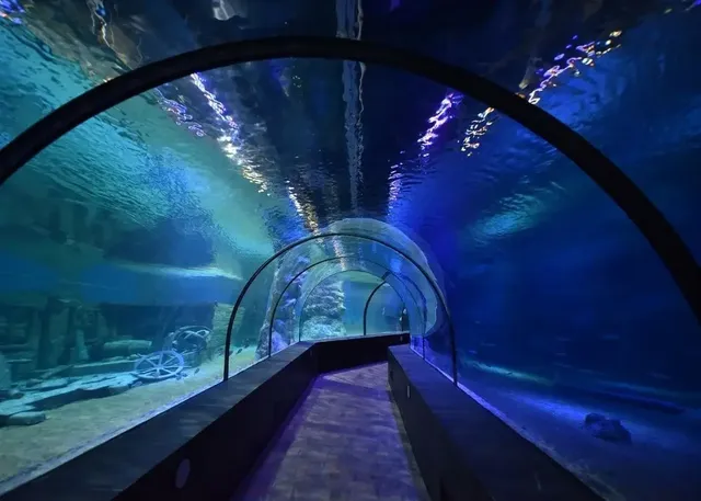 ViaSea Aquarium (Crocodile Park) Skip-the-Line Tickets - Image 3