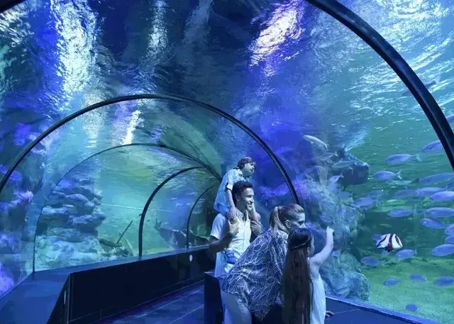 ViaSea Aquarium (Crocodile Park) Skip-the-Line Tickets - Lead