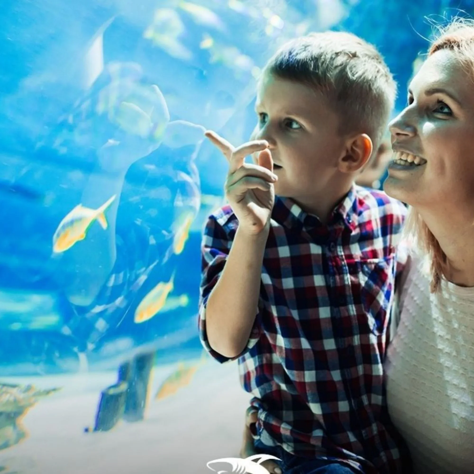 Ingresso all’Emaar Aquarium and Underwater Zoo