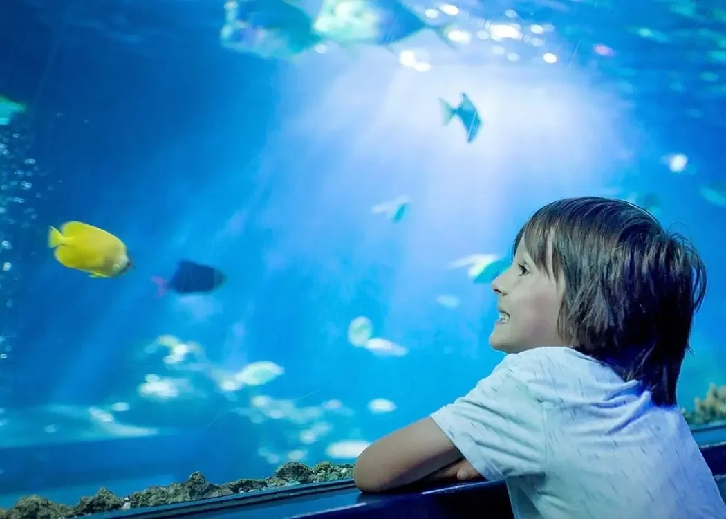 Bilet wstępu do Emaar Aquarium and Underwater Zoo - Image 2