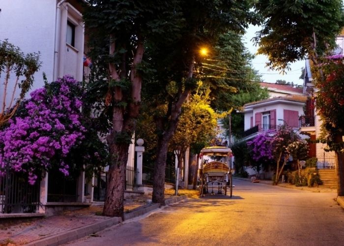 Scenic shoreline and historic houses on the Princes Islands