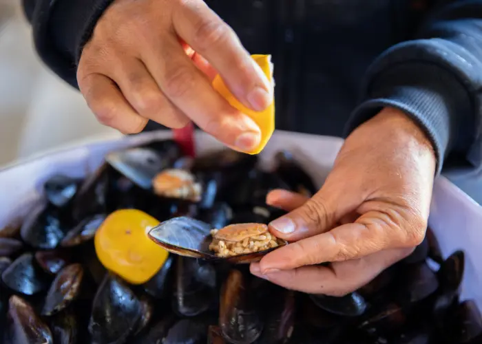 moule
