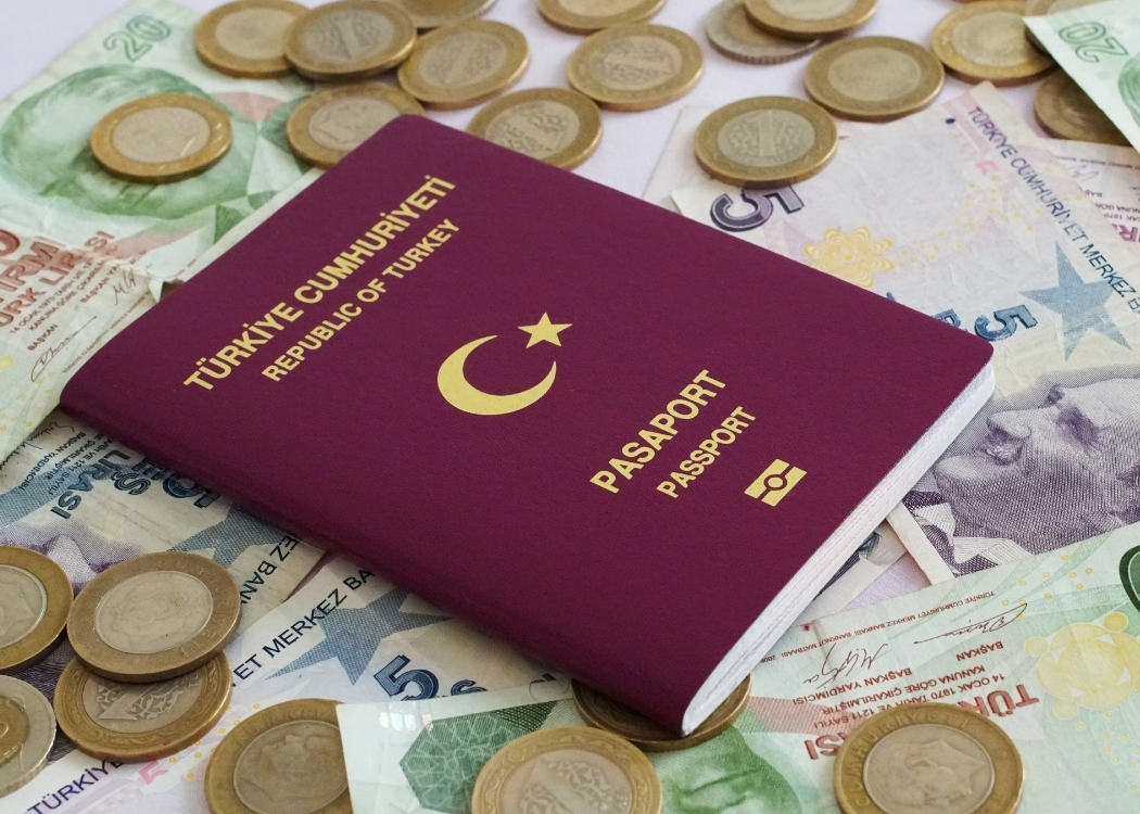 Wie beantrage ich die türkische Staatsbürgerschaft?