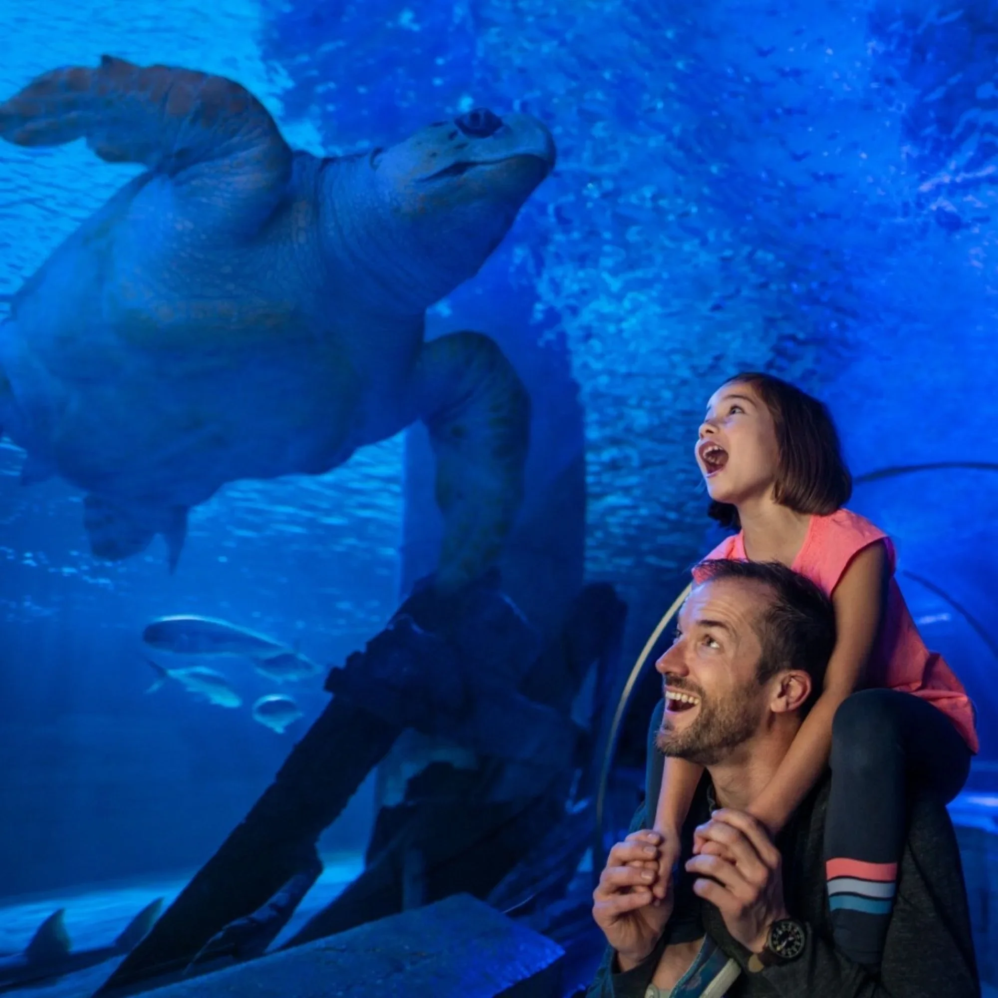 Biglietto d'ingresso per Istanbul Aquarium