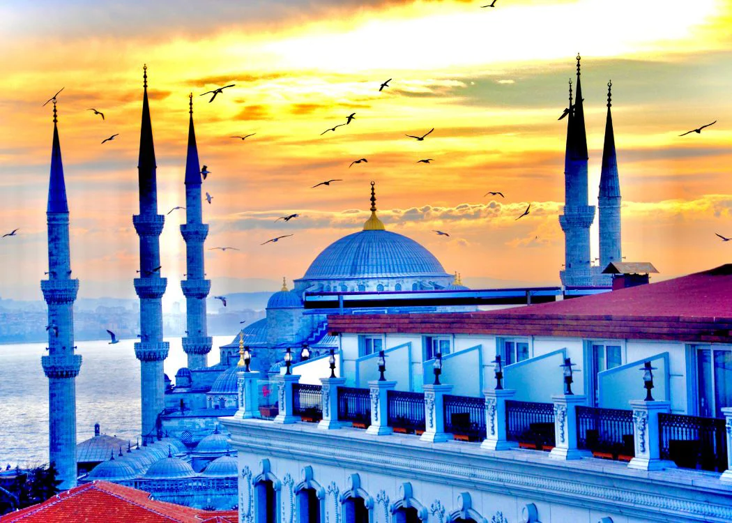 Hagia Sophia Ticket and Blue Mosque Combo - Image 2