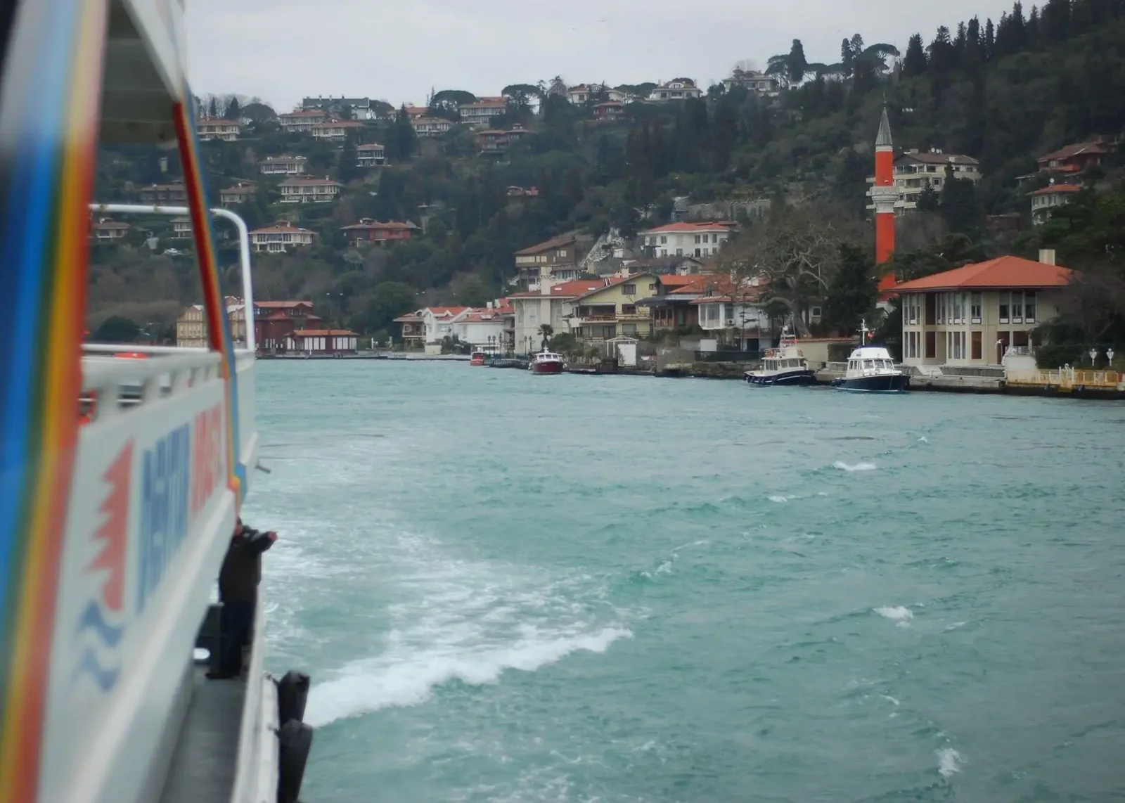 Dolmabahce Palace Ticket & Bosphorus Boat Tour Experience - Image 3