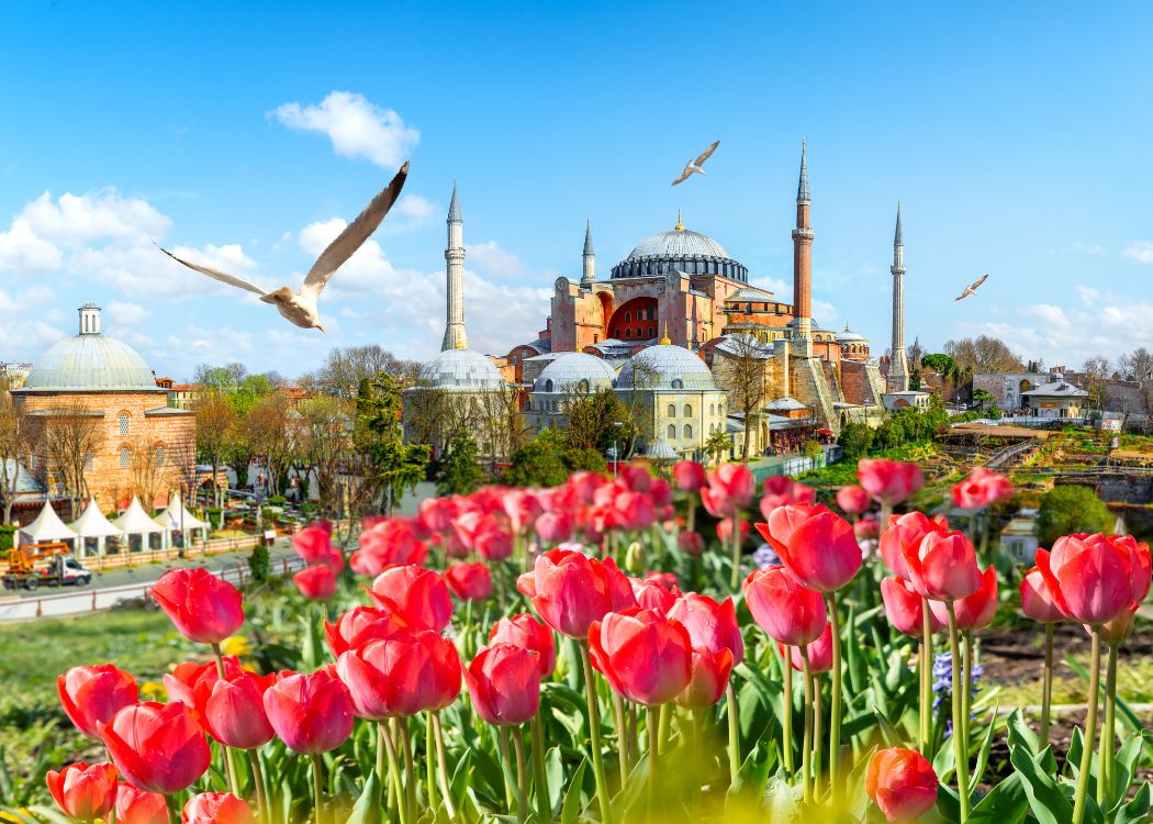 Spring in Istanbul: Tulips, Ferries, and the City at Its Most Beautiful