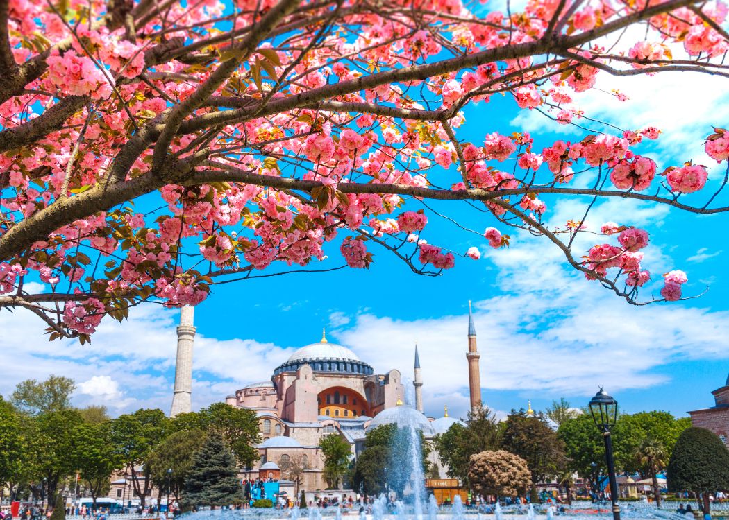 20 Spring Photography Spots in Istanbul (2026)