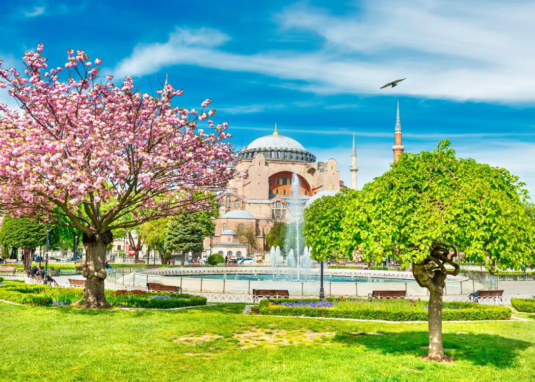 Hagia Sophia & Dolmabahce Palace Combo - Image 4