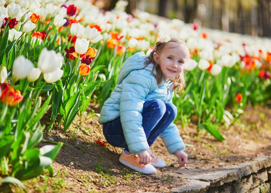 Istanbul Tulip Festival 2026: The Emirgan Park Guide