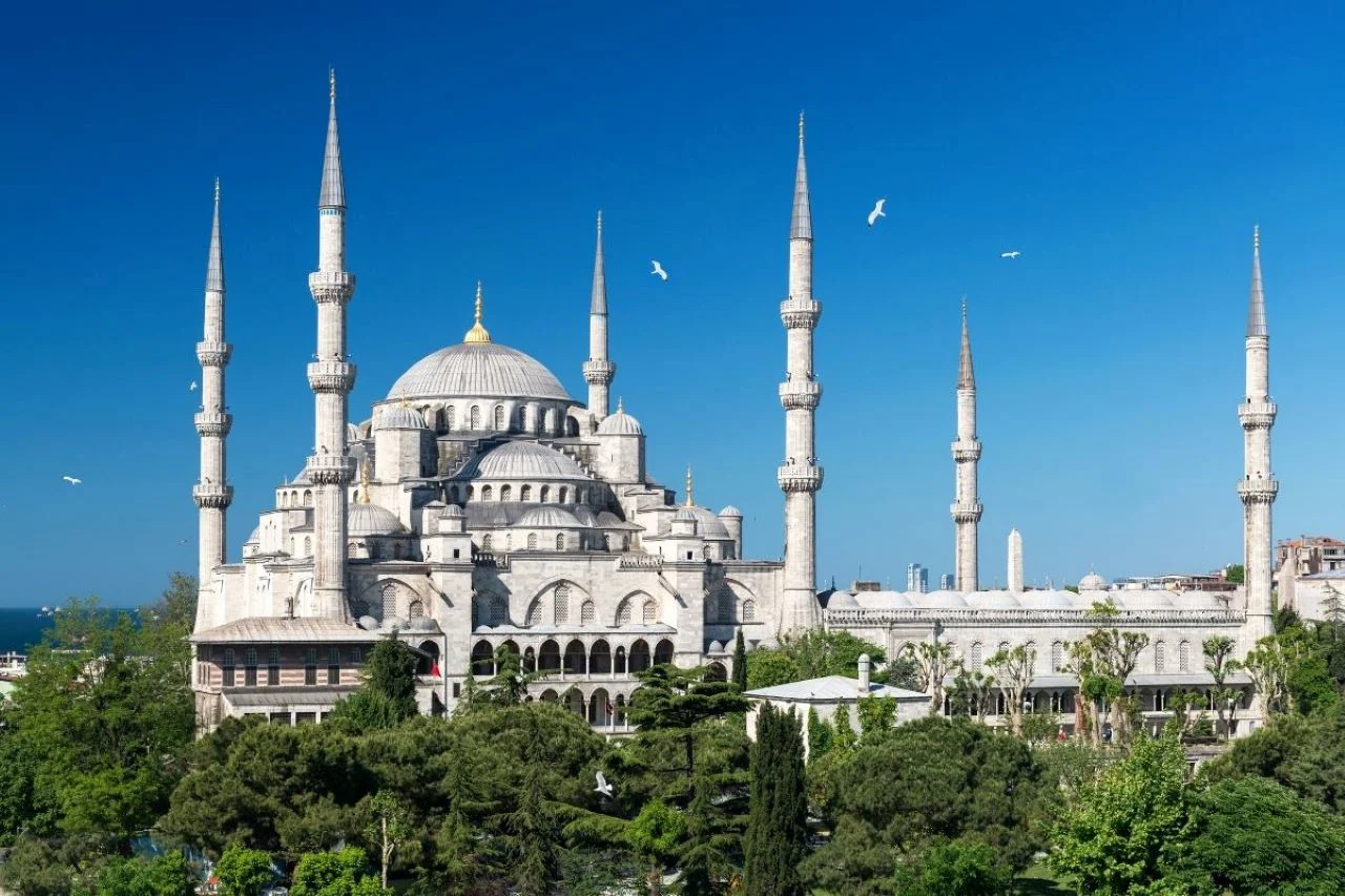 Istanbul: Historic Peninsula Walk: The Perfect First Tour - Image 2