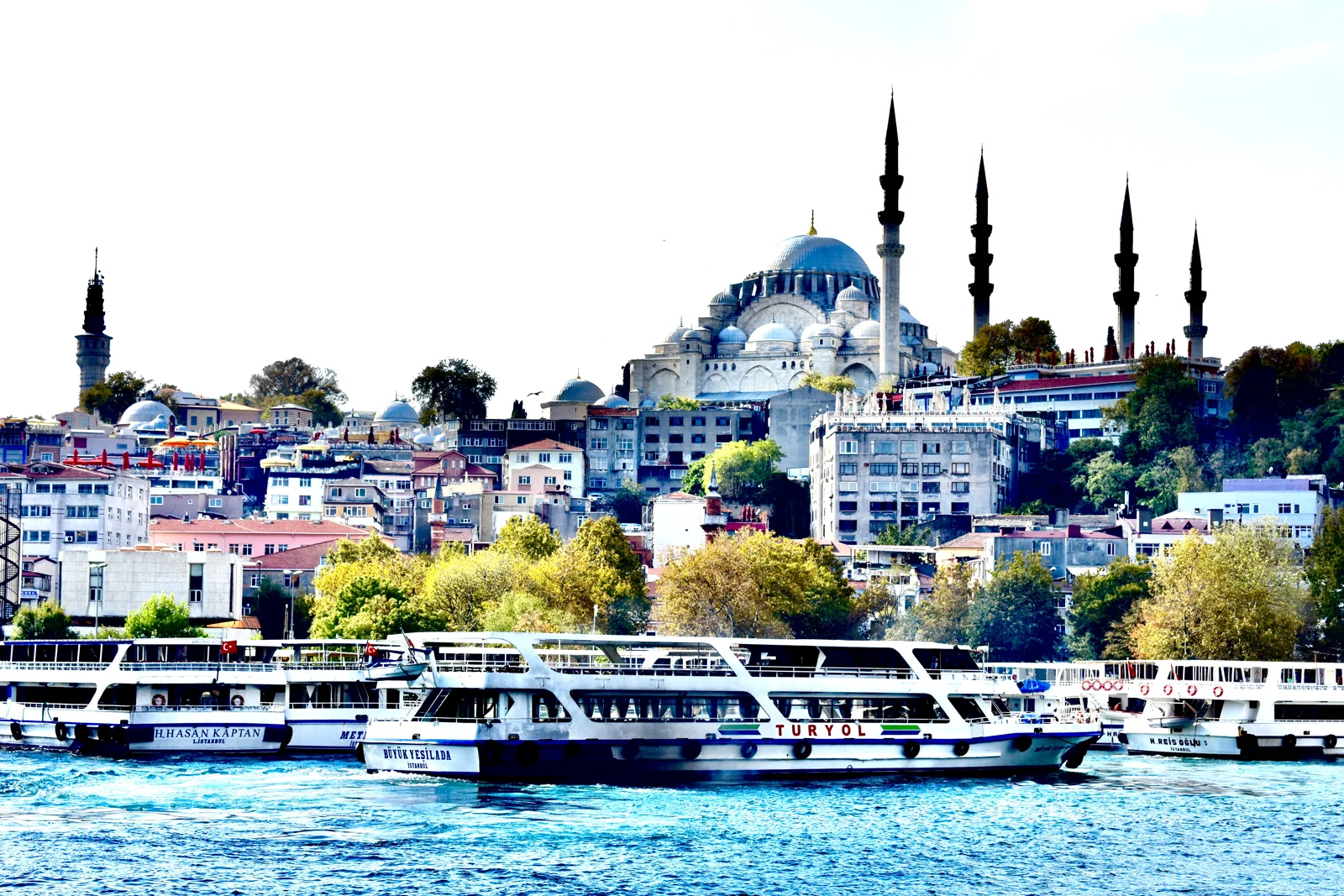 Topkapi Palace & Blue Mosque Combo - Image 1
