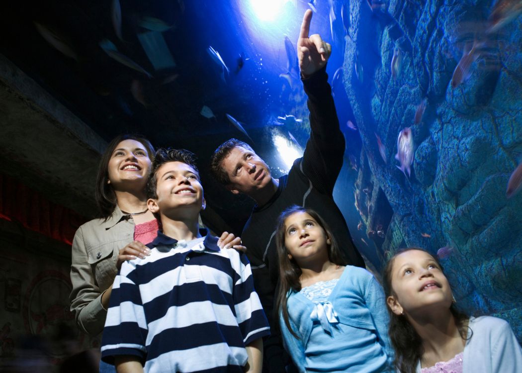 5 Days for Families in Istanbul: Routes That Don’t Tire Kids and Don’t Bore Parents